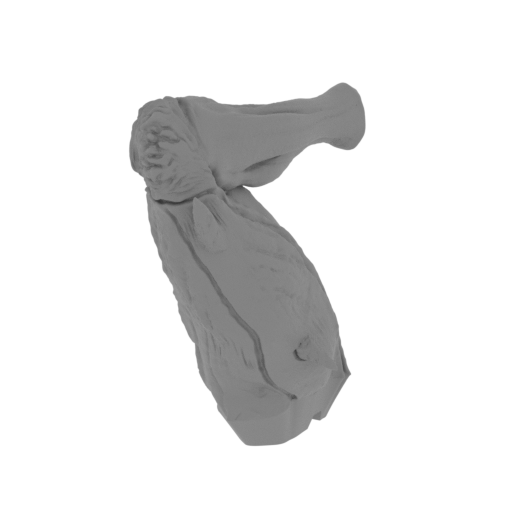 36_the_Imp_2_leg_R_FDM(repaired).stl