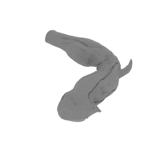 31_the_Imp_1_leg_L_FDM(repaired).stl