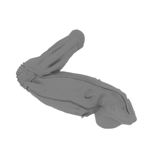 50_the_Imp_4_leg_R_FDM(repaired).stl