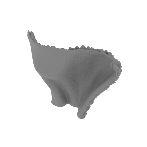 24_cloak_2_FDM(repaired).stl