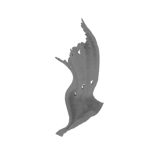 13_cloak_FDM(repaired).stl