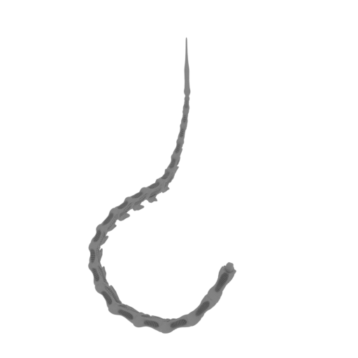 XENO_TAIL_M.stl