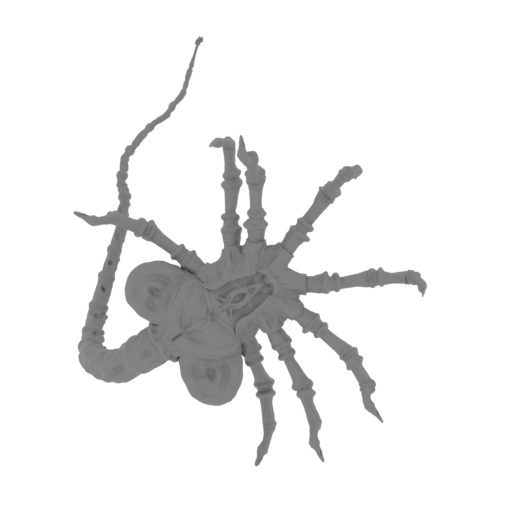 FACEHUGGER_7.stl