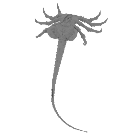 FACEHUGGER_1.stl
