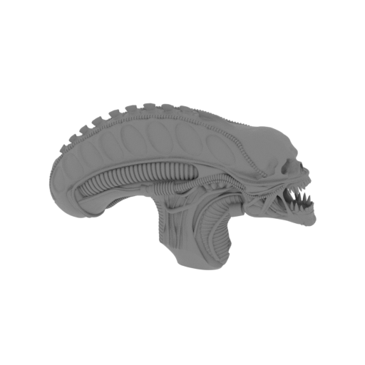 2_head_with_skull_inside_FDM(repaired).stl