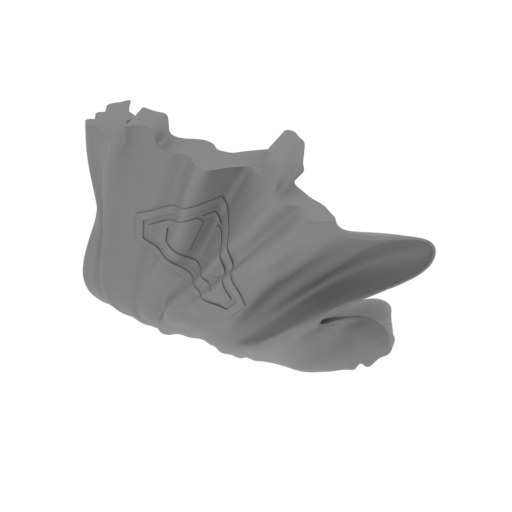 S_Trump_FDM-FFF_6.stl