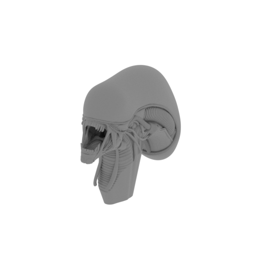 1_solid_head_FDM(repaired).stl
