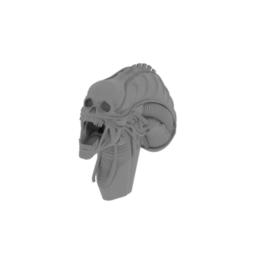 2_head_with_skull_inside_FDM(repaired).stl