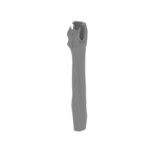 5_small_jaws_long_FDM(repaired).stl