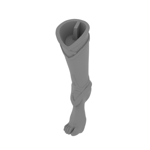 8_foot_R_FDM(repaired).stl