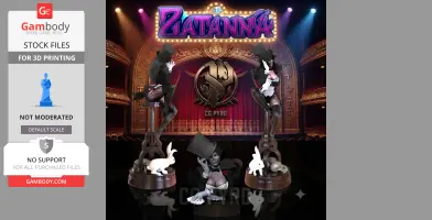 Zatanna DC Comics 3D Printing Model