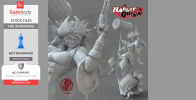 Harley Quinn Pirate from DC Comics Injustice