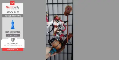 Harley Quinn Pirate 3D Printing Model