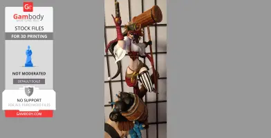Harley Quinn Pirate 3D Printing Model