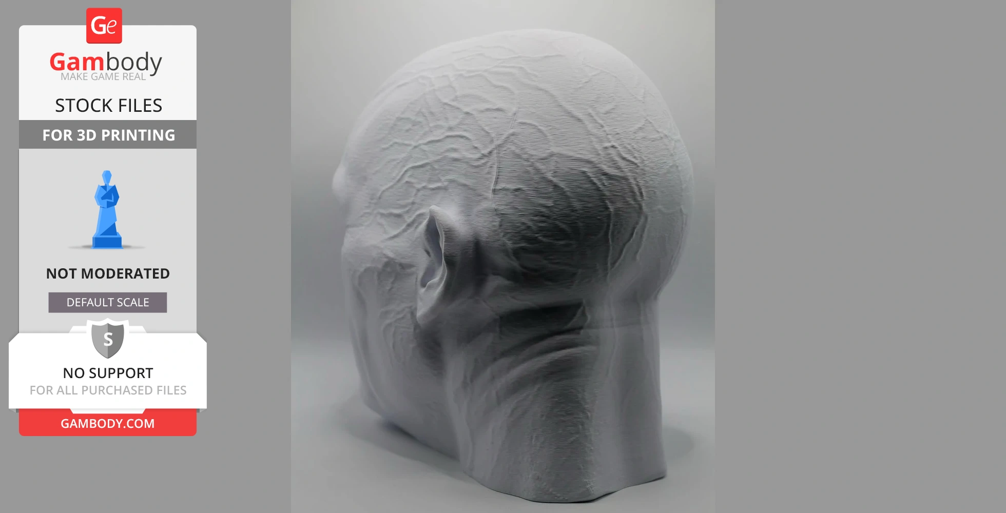 3D print model of a bald head with detailed veins and texture, designed for 3D printing.