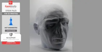 Detailed 3D headsculpt with smooth features and prominent ridges, designed for 3D printing.
