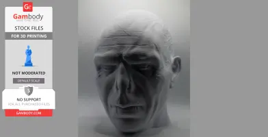 Detailed 3D model of a bald, mysterious character's head with deep set features for printing.