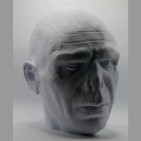 A detailed 3D-printed head sculpture of a fictional character with a flat nose and prominent facial features.