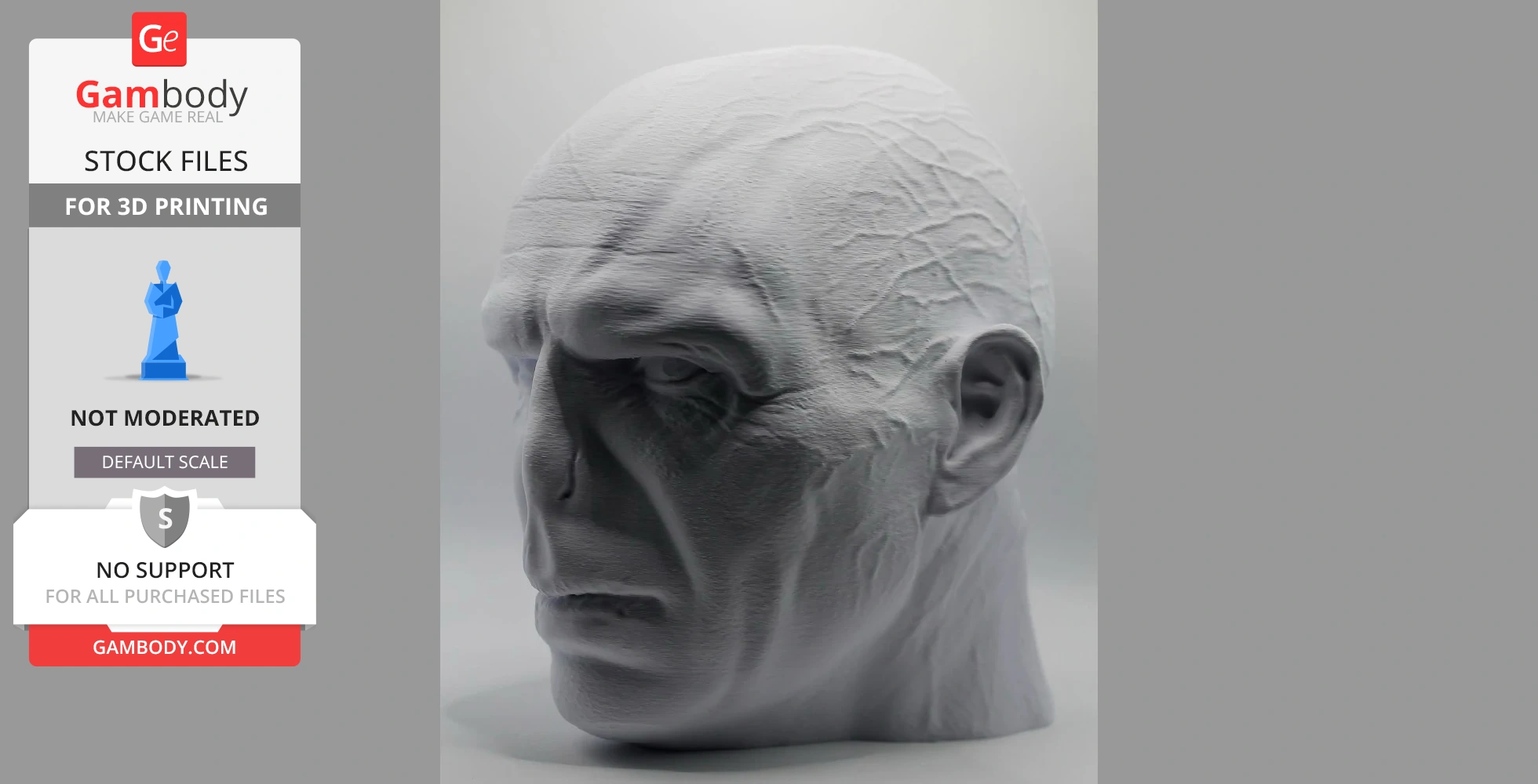 3D model of a detailed head sculpture with prominent veins and facial features, intended for 3D printing.