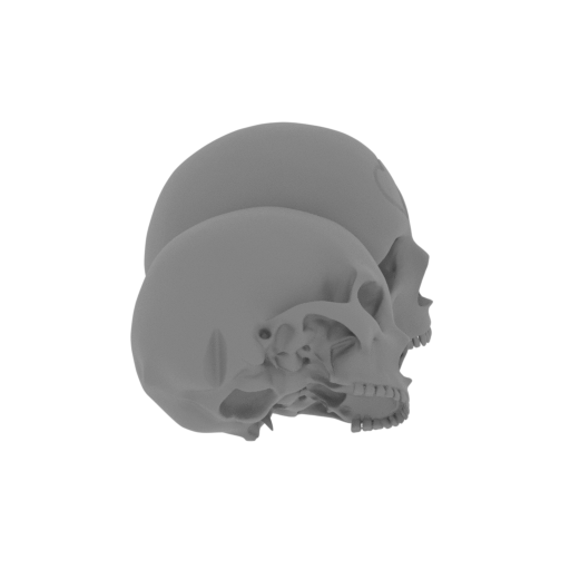 Zatanna_Skulls2_Dyn.stl