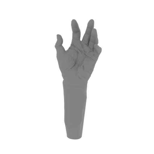 6_hand_L_FDM(repaired).stl