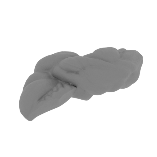 Panthro_Right arm.stl