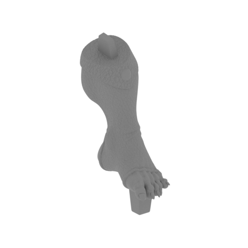 Bengali_L_Foot.stl