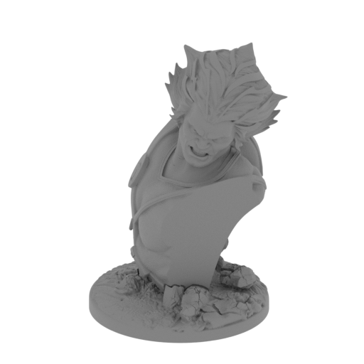 NO_PRINT_REF_FULL_BUST.stl