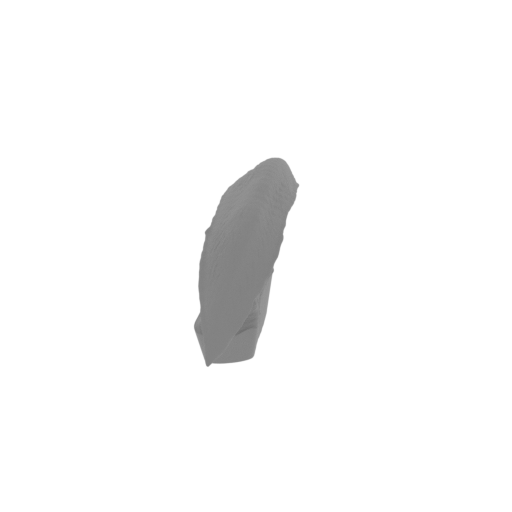 19_spike_L_FDM(repaired).stl