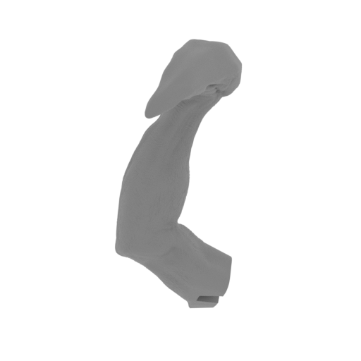 8_arm_small_R_FDM(repaired).stl