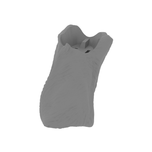 11_leg_R_2_FDM(repaired).stl