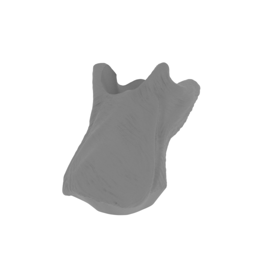 14_leg_L_2_FDM(repaired).stl