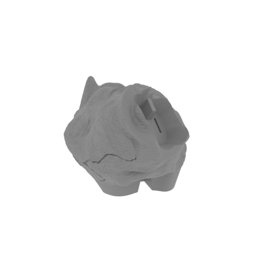 13_leg_L_1_FDM(repaired).stl