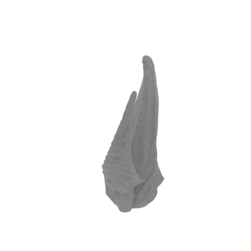 16_tail_FDM(repaired).stl