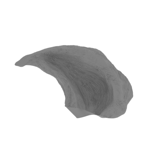 4_horn_L_FDM(repaired).stl