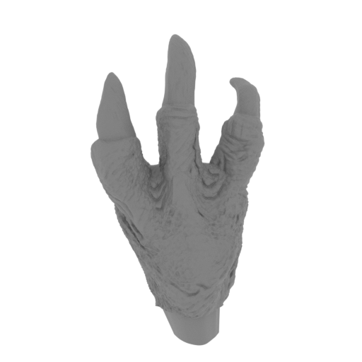14_hand_R_small_FDM(repaired).stl