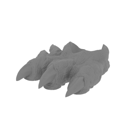 19_foot_R_FDM(repaired).stl