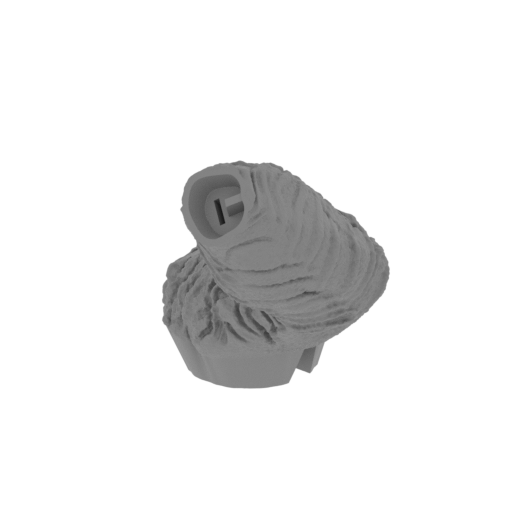 8_paw_front_L_1_SLA(repaired).stl