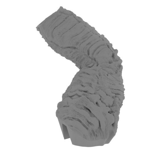 10_paw_front_R_1_SLA(repaired).stl