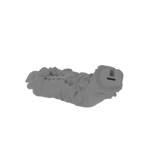 11_paw_front_R_2_SLA(repaired).stl