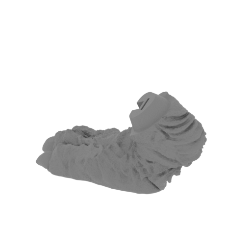 15_paw_rear_R_2_SLA(repaired).stl