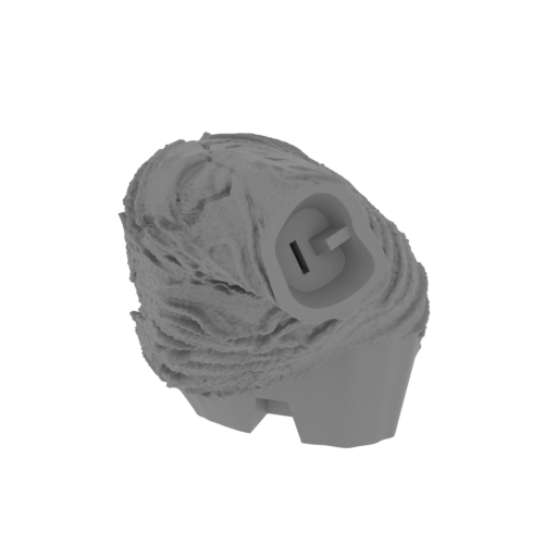 12_paw_rear_L_1_SLA(repaired).stl