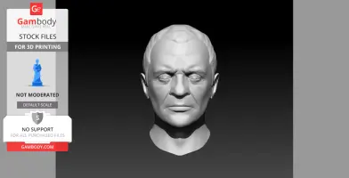 3D model of a serious male face, front view, digital rendering for 3D printing.