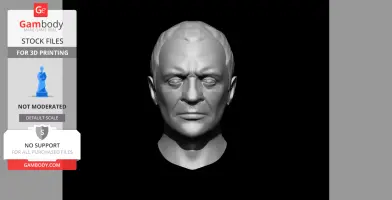 A 3D model head sculpture of a male figure with detailed facial features.