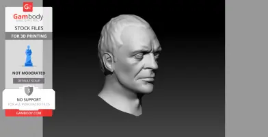 3D printed bust of an older man's head with detailed facial features, by Gambody.