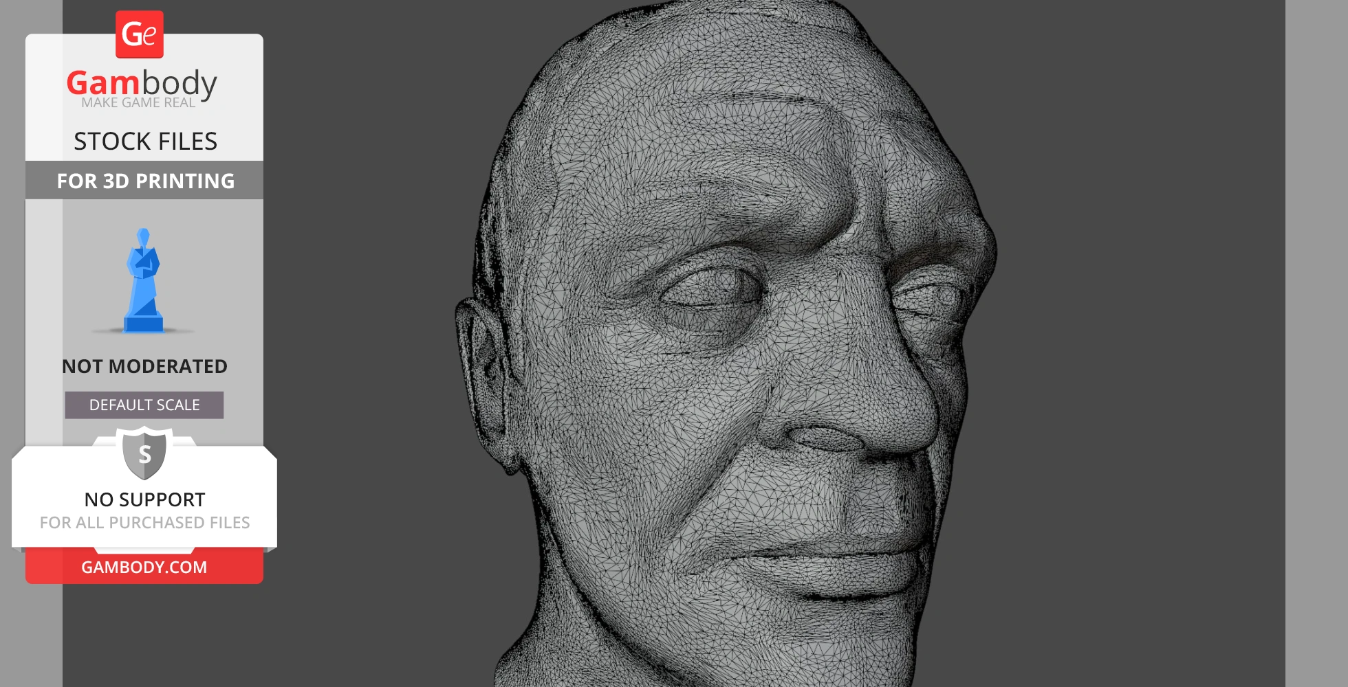 A wireframe 3D model of a man's detailed face, intended for 3D printing.
