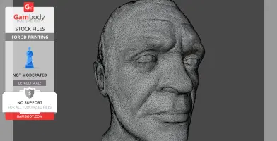 A wireframe 3D model of a man's detailed face, intended for 3D printing.