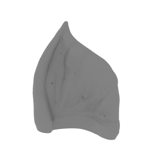 3_Gremlin_ear_L_FDM(repaired).stl