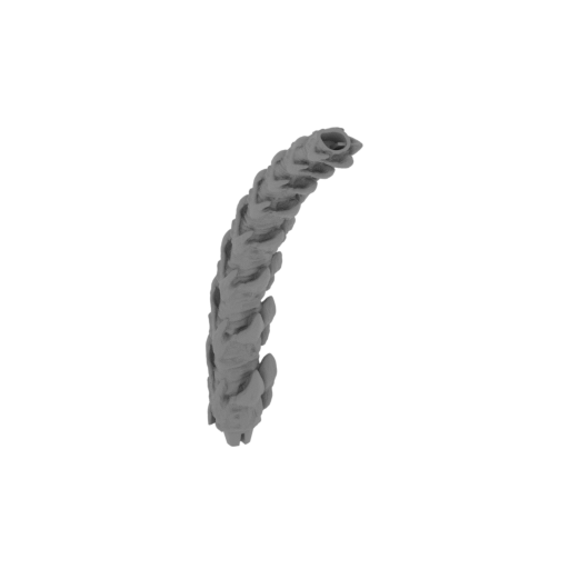 19_tail_3_FDM(repaired).stl