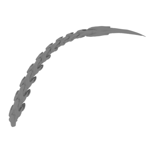 20_tail_4_FDM(repaired).stl